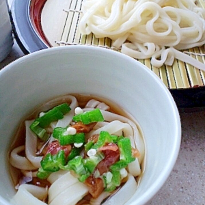 サッパリ冷たい梅おくらうどん